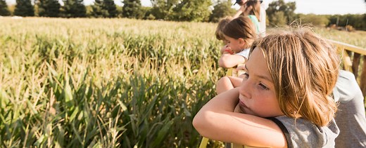 Yara at a glance | Yara International