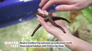 WATER WILDLIFE UP CLOSE 🐠 Bring the kids down to Carillon City these school holidays to meet a shark, sea stars, urchins, turtles, frogs and other sea creatures! There will be three fantastic and educational hands-on shows a day, mixed with opportunities for little scientists to learn about macro invertebrates and get creative with sand art. 8 - 12 July | Carillon City | Daily program and more info: Winter Fest: Water Wildlife Up Close | Visit Perth