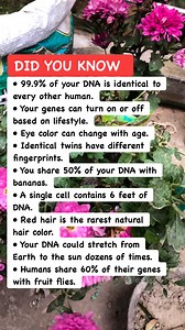 🧬 DNA & Genetics Secrets#genetics #lifefacts #dna | Math & Puzzle