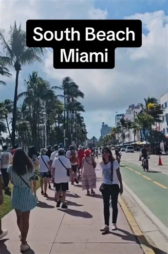 Perfect Day Exploring South Beach Miami