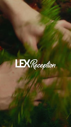 LEX Reception on TikTok