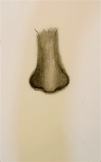 Realistic Nose drawing✨