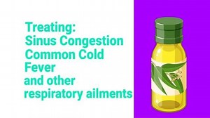 Melemo ea Ole ea Boleikomo (Eucalyptus Oil) -- English Version | Tseba Bibele Ministries -TBM