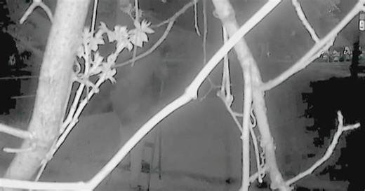 Footage shows Parkside Drive's notorious speed camera being cut