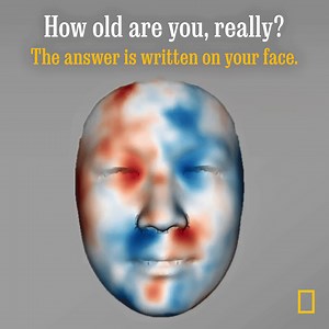 99K views · 518 reactions | The age on your driver's license is one...