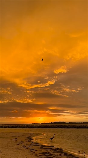 16 reactions | Panama City Beach Surf on Reels | Facebook