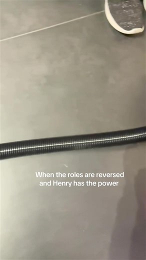 Exploring Henry Hoover Features and Fun Facts