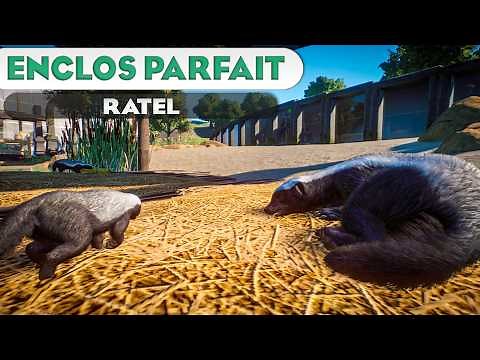 The Honey Badger | THE PERFECT ENCLOSURES: EPISODE 170 | PLANET ZOO