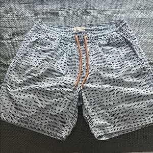 J. Crew Light Green Swim Trunks with Blue Geometric Pattern