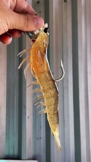 ISCA QUE ENGANA ATE O PESCADOR #pesca #pescaria #iscaartificial #iscas #pescador #peixe