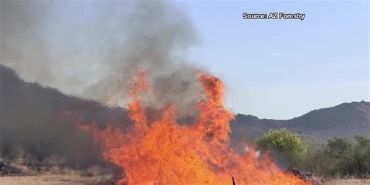 Seeing smoke? Prescribed burn today at Picacho Peak State Park