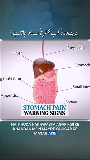 Stomach Pain: When gas & acidity become a serious warning! #stomach #health #ycare