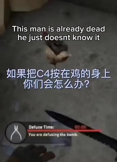 flopp #CapCut #idksterling #idksterlingmeme #csgo #chicken