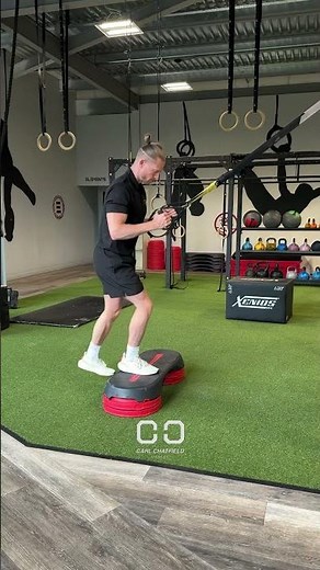 TRX Supported Step Ups