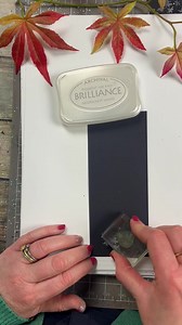 4.1K views · 331 reactions | We just love this brilliance ink pad and...