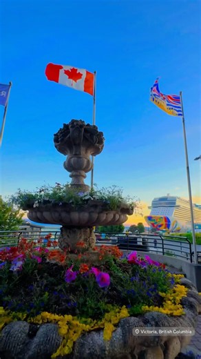 A solo cruise that brings you the the gorgeous gardens of Victoria, Canada. #solocruise #cruise