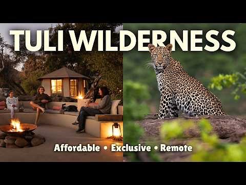 The Best Safari Experience for Your Budget!