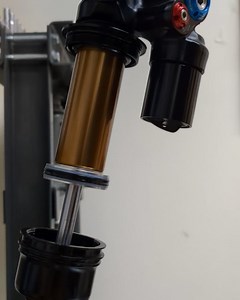 The Shock Lab on Reels