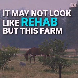 767K views · 46 reactions | Is there something life changing about working the land and being part of a team? Cana Farm is giving people a chance to find out. | ABC Religion and Ethics | Facebook