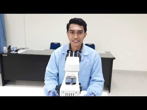 HITUNG JUMLAH LEUKOSIT