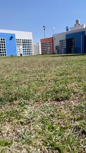 26K views · 433 reactions | El CINE en la PALMA de tu MANO con GOOJODOQ, PROYECTOR PORTÁTIL ideal para GAMING #proyector #goojodoq #portatiles #gamers #gaming #cine | Dr. Rulo Retro Gamer | Facebook