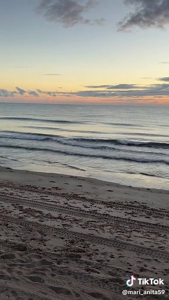 Beach vibes playlist: relaxing summer beats for praia
