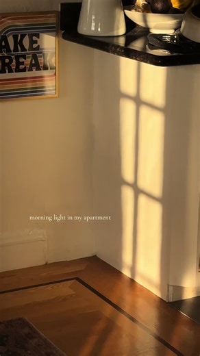 Maximize Light with South Facing Windows in Apartments