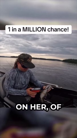 Surprise fish steals bait from fishing pro during weigh-in