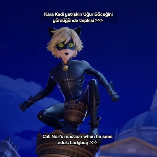 Bu lütfen tutsun #mlb #miraculous #edit #fypシ #fyp #foryou #ladybug #catnoir #keşfet #keşfetedüş