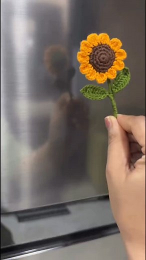 203K views · 3.8K reactions | #crochet #crochetinspiration #crocheting #crochetersofinstagram #crochetfun #crochetfunkyflowers #yarnshop #yarnshoplove #yarnshoplife | Samia's Crochet | Facebook