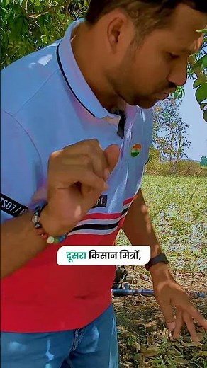 निम्बू में बीमारी | Treatment for lemon tree diseases