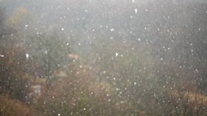 Slow falling snow over a forest - Free Stock Video