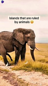 188K views · 1.1K reactions | Amazing places on earth || #Amazing #world #facts #information #highlightsシ゚ #wikivibes #everyone #trending #viral #fb #reels #fbreels23 Britain's Got Talent Cristiano Ronaldo Sirbalo Comedy Mr Bean | Wiki Vibes | Facebook