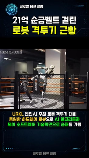 21억 순금 걸린 로봇 격투기 근황 #로봇 #휴머노이드 #테크 #격투기 #아틀라스