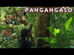 Pangangaso sa bundok gamit tatlong Aso muntik pa kaming maligaw | buko lang sapat nang tanghalian,