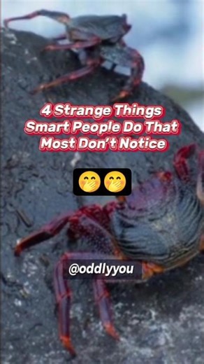 4 Things Smart People Do That Most People Don’t Understand