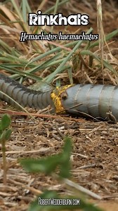 1.9M views · 3.4K reactions | A brilliant example of how the highly...