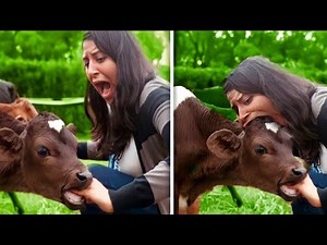 [Best Episode] Let's watch some funny animal videos full of things to point out wwwwww⑦ [Unexpect...