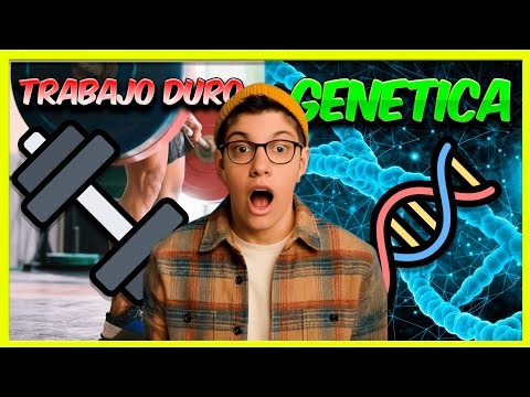 What genetics says about your physique (and what you can improve)