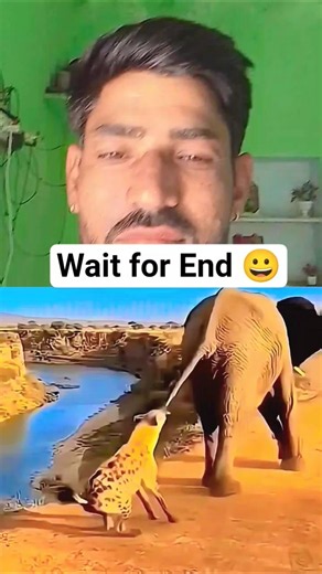 janwaro ke gajab karname..😀😀😀 #funny #comedy #trendingshorts #duet