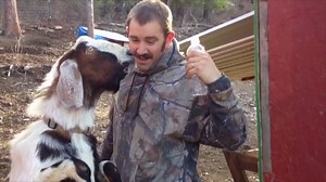 Goat ahead and laugh! Don't forget to tune in for not one, but two hilarious episodes of AFV this Sunday starting at 7/6c on ABC. | America's Funniest Home Videos