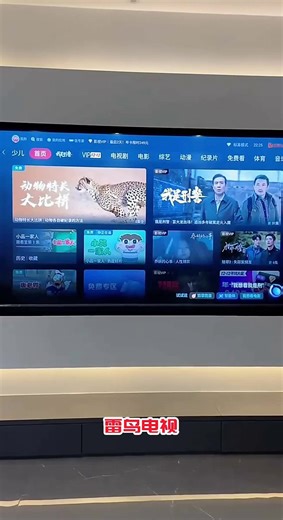 TCL雷鸟电视 鹏7 26款 85英寸 高阶VA全通道288Hz高刷 HDMI2.1安桥音响94%P3色域灵控系统 85S78A 85英寸 平板电视