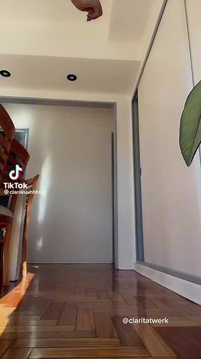 Claritatwerk (@claritatwerk)’s videos with original sound - Claritatwerk