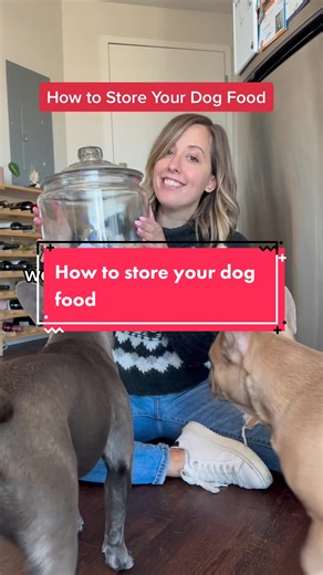 Why should you store your dry pet food in a glass (or metal) container? 🫙 The big reason is that plastic containers can transmit poisonous chemicals when in contact with pet food! Glass containers won’t absorb oils from your pet food. Plus they just look nice ✨ #lavenderandlatte #dogtips #dogfood #frenchiesoftiktok