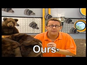 Comment se passe l'hibernation ? - C'est pas sorcier