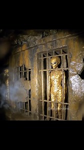 Expedition team Reveal Strange Ancient Artifacts Hidden Deep Inside a Sealed Jungle Cave System "Sci-fi horror FilmConcept found footage" . . . . . . . . . . #AncientCivilizations #ancientcity #AncientHistory #ancientaliens #LostCivilizations #expedition #AncientMysteries #sybervisions_ | 𝗦𝗬𝗕𝗘𝗥𝘃𝗶𝘀𝗶𝗼𝗻𝘀