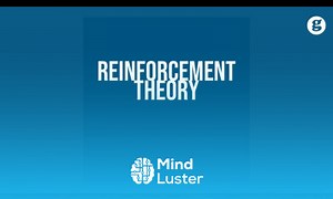 Mind Luster - Learn Reinforcement Theory