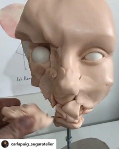 30K views · 118 reactions | This is how Saracino Pasta Scultura -...