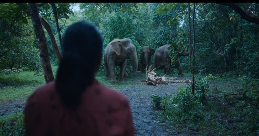 Poacher review: Amazon's new Indian series is intense, well-made and important | The National