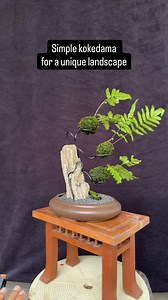 🪨🌵🚿everyone can make this simple kokedama #bonsai #bonsaitree #bonsailovers #bonsaiart #fblifestyle | Ara Jaber Bonsai